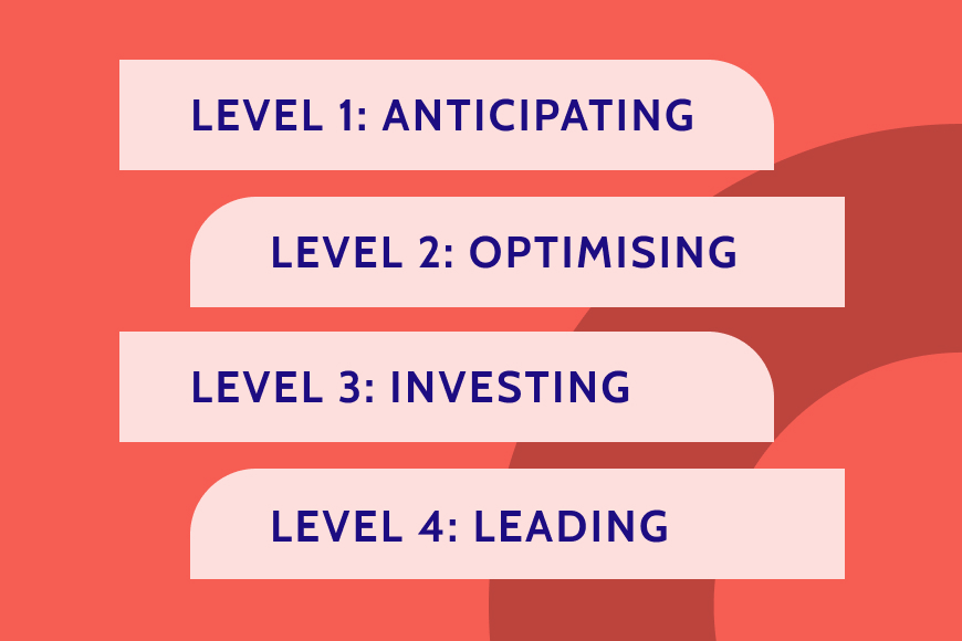 De 4 levels van SEO maturiteit