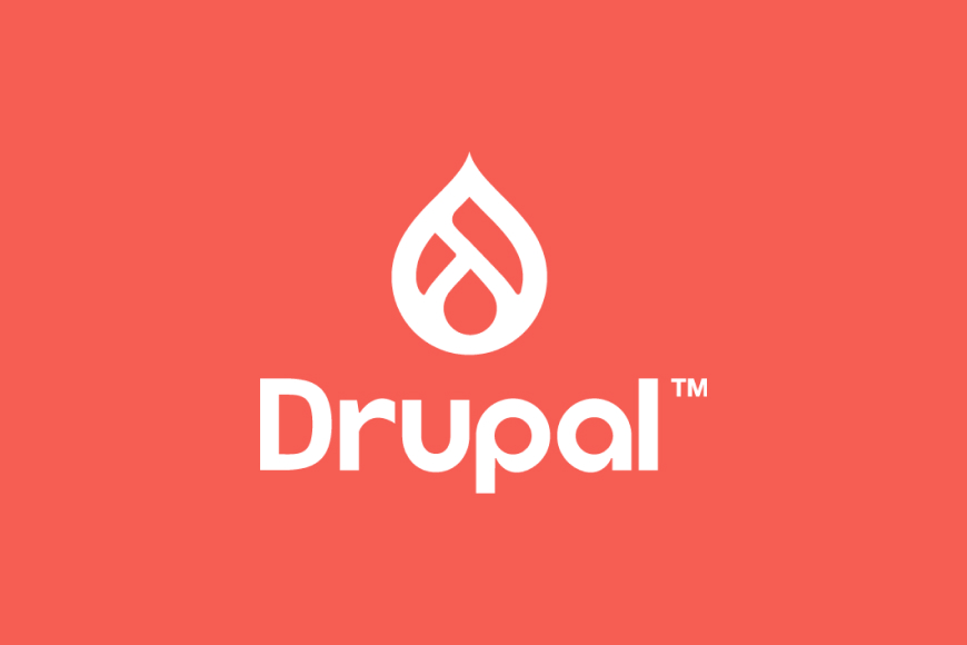 Making digital business easier with Drupal (Vision 2021 Update)