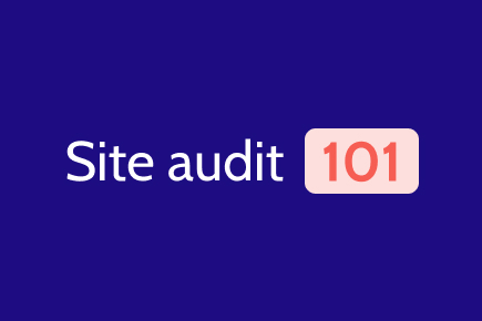 Site Audit 101